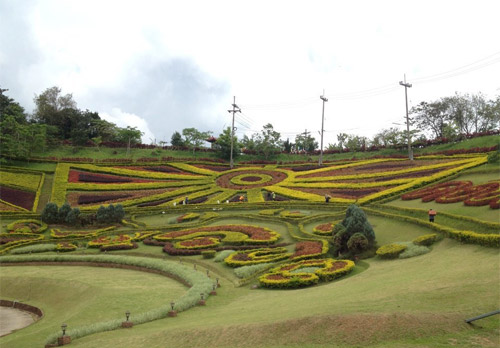 國(guo)軍基地美思樂 國(guo)軍基地美思樂